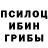 Псилоцибиновые грибы мухоморы Alan imanaliev