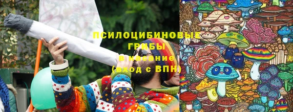 a pvp Алзамай
