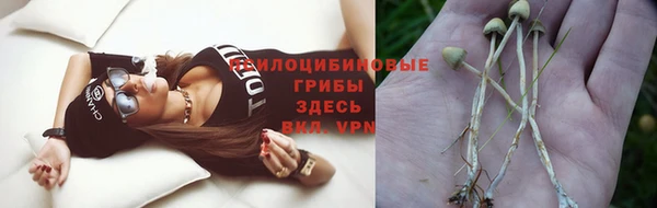 a pvp Алзамай