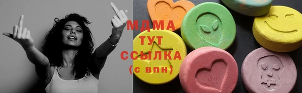 индика Алексин