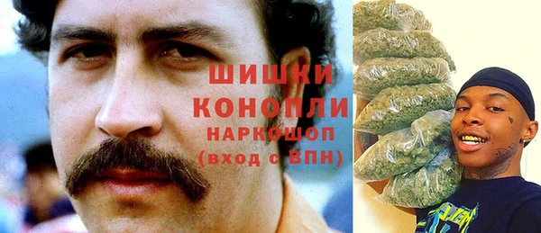 молекула духа Аркадак