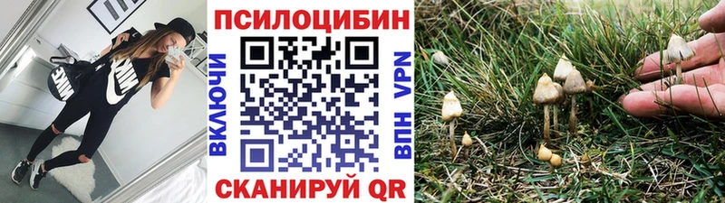Галлюциногенные грибы ЛСД  Бабаево 